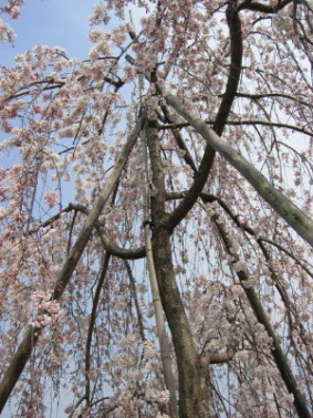 �~�����T�N��