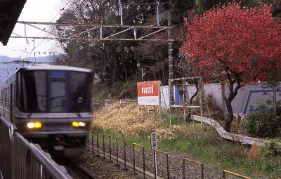 �n�i����