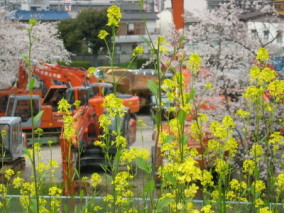 �������@�H��̏t