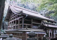 ���q�_��