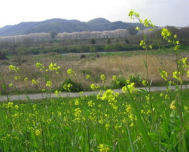 �w����T�N�����]