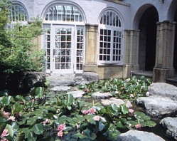 �R�����p�ْ뉀�̃X�C����