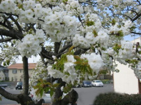 ���d�U�N��