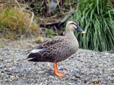 �J���K��